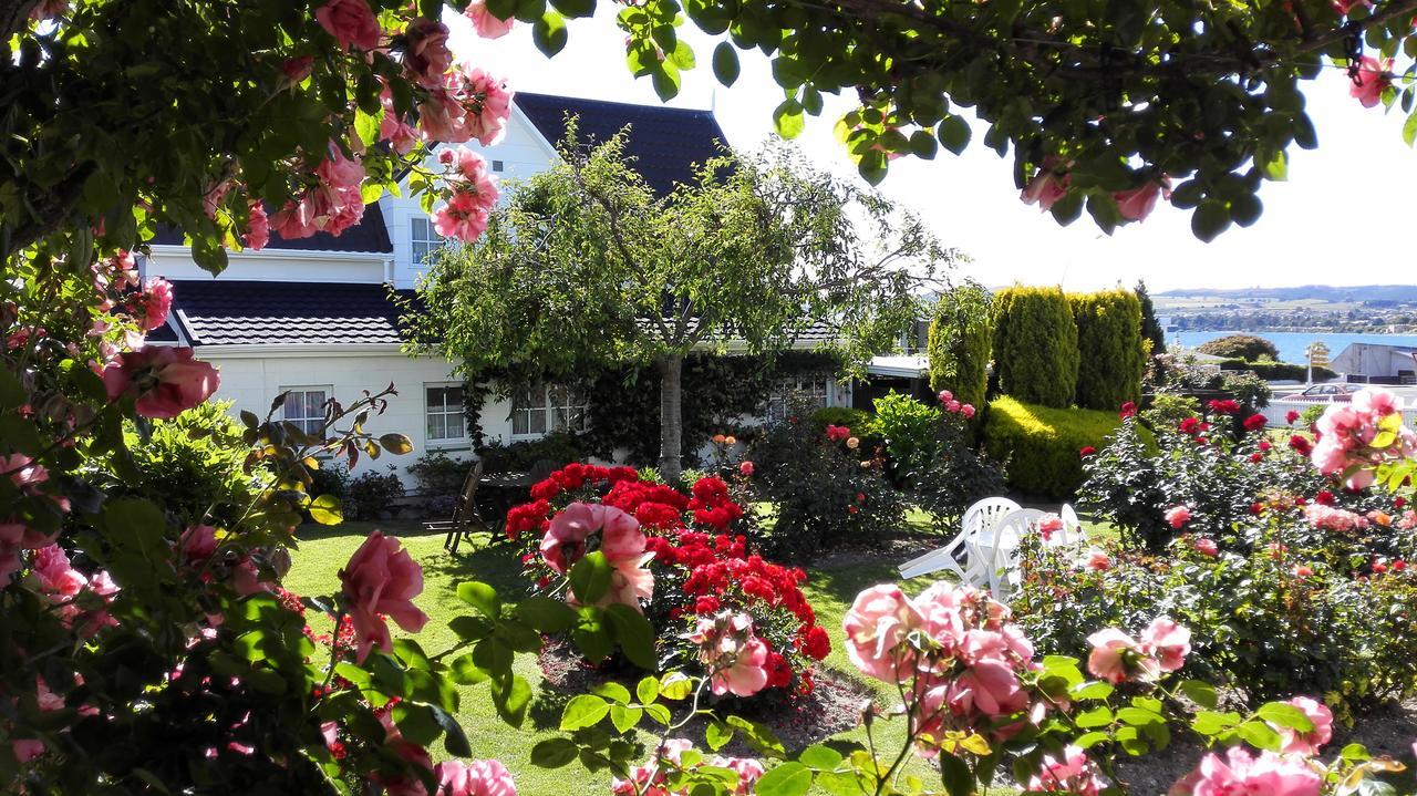 Phoenix Thermal Resort - Lago Taupo Exterior foto